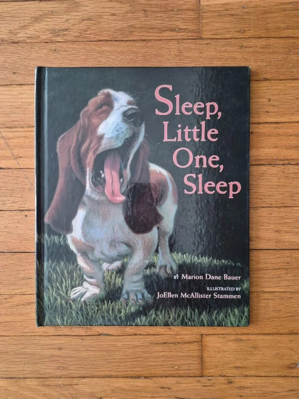 Sleep, Little One, Sleep